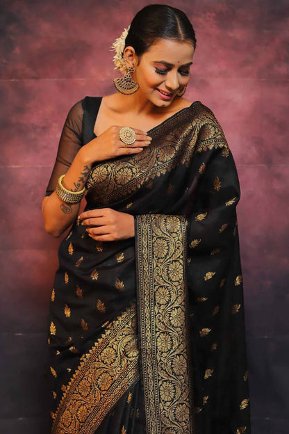 Black Banarasi Soft Silk Saree