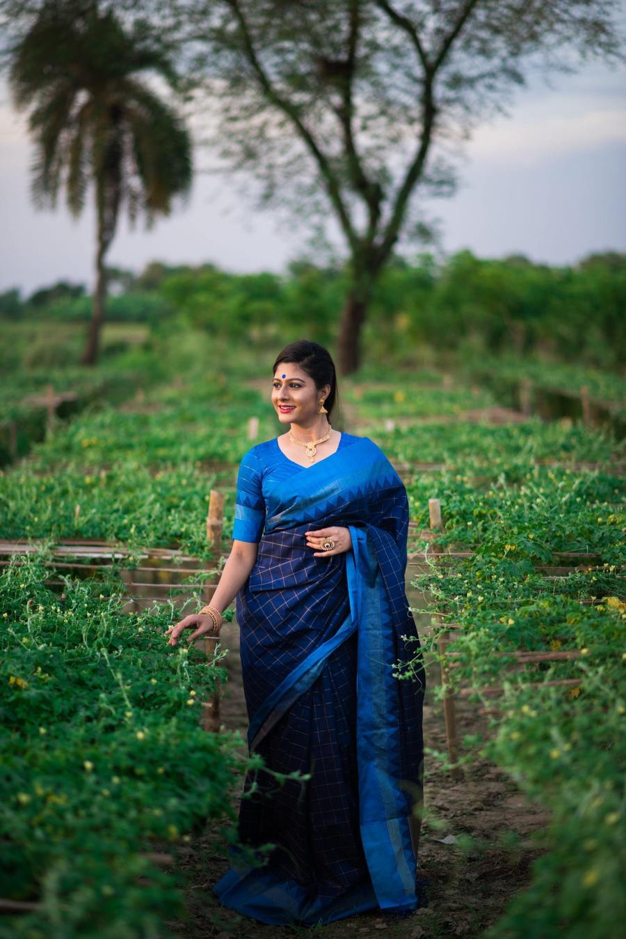 Paithani Raw silk Saree - Coffee Brown | Indian Silk Sarees